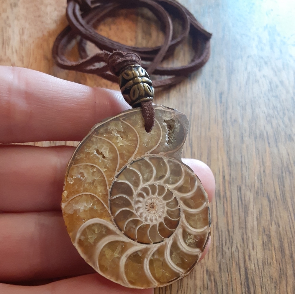 BEAUTIFUL- Real Ammonite Fossil/ Genuine Brown Leather Cord Necklace